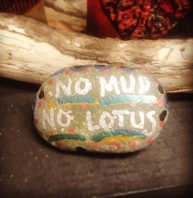 Read more about the article No Mud, No Lotus: We all Want the Pretty Flower and Not the Mud